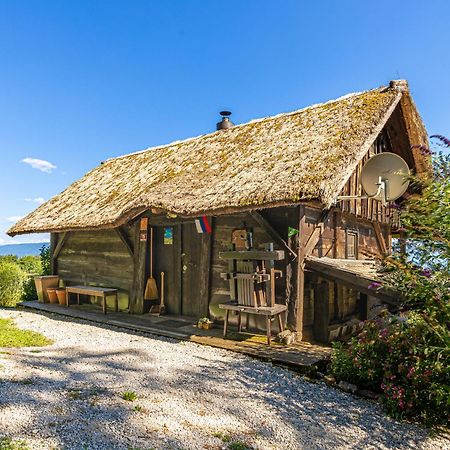 Vineyard Cottage Skatlar Otočec Esterno foto